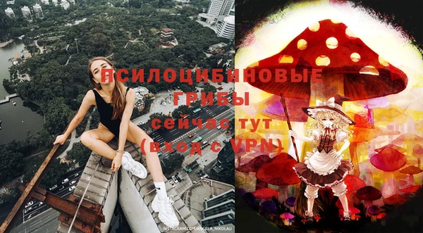гашик Аркадак