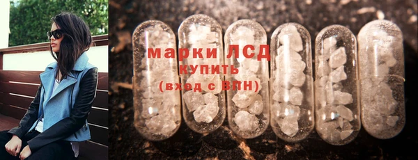 прущие грибы Армянск