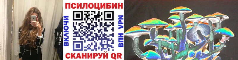 KRAKEN ССЫЛКА  Нижняя Тура  Псилоцибиновые грибы мицелий  магазин продажи  